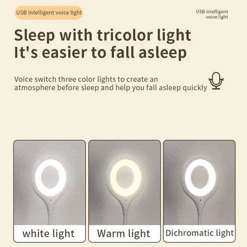 smart voice control usb light